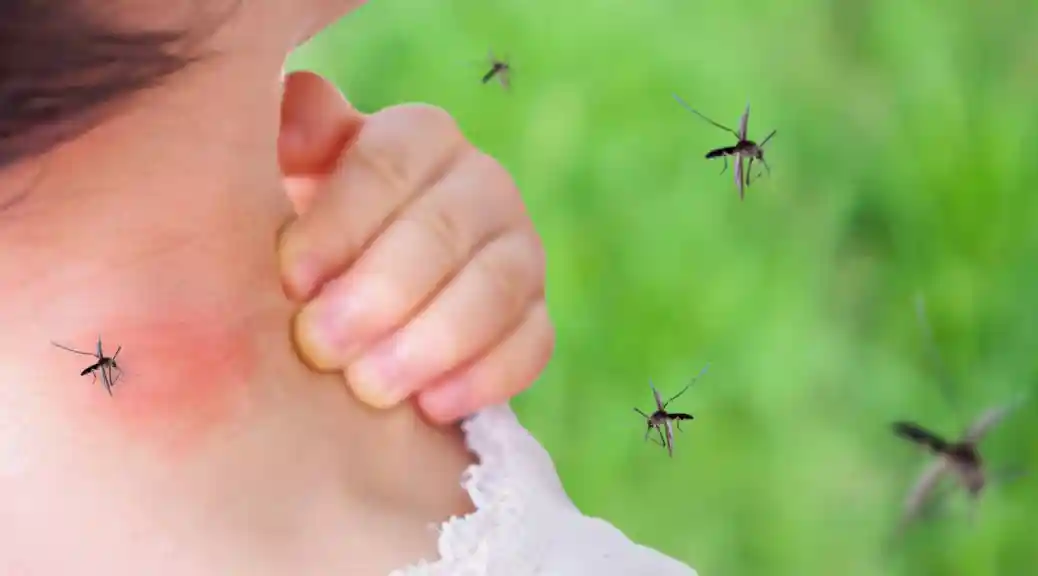 Mosquito-magnet-scaled.webp
